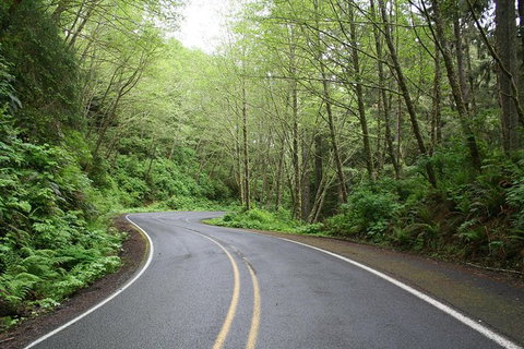 Cruise Ship Shore Excursion - Private Great Ocean Road Full Day Tour (12 Hour) - Accommodation Great Ocean Road 1