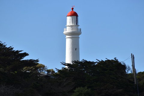 Great Ocean Road Tour Plus Koalas, Forest Walk And Morning Tea. - Accommodation Great Ocean Road 1