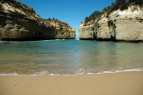 Great Ocean Road Tour Plus Koalas, Forest Walk And Morning Tea. - Accommodation Great Ocean Road 4
