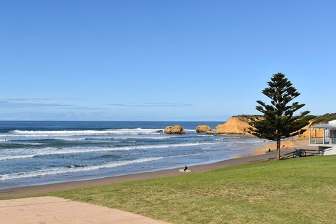 Great Ocean Road Tour Plus Koalas, Forest Walk And Morning Tea. - Accommodation Great Ocean Road 3