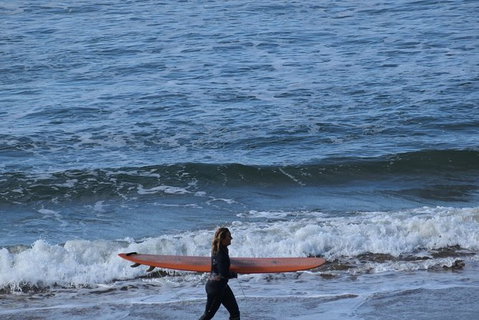 Great Ocean Road Tour Plus Koalas, Forest Walk And Morning Tea. - Accommodation Great Ocean Road 8