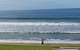 Great Ocean Road Tour Plus Koalas, Forest Walk And Morning Tea. - thumb 9