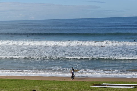 Great Ocean Road Tour Plus Koalas, Forest Walk And Morning Tea. - Accommodation Great Ocean Road 9