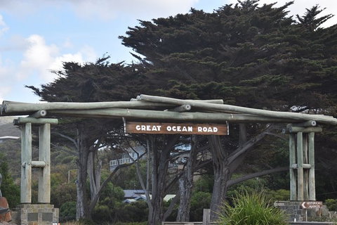 Great Ocean Road Tour Plus Koalas, Forest Walk And Morning Tea. - Accommodation Great Ocean Road 7
