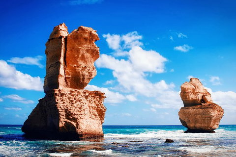 Great Ocean Road Tour Plus Koalas, Forest Walk And Morning Tea. - Accommodation Great Ocean Road 11