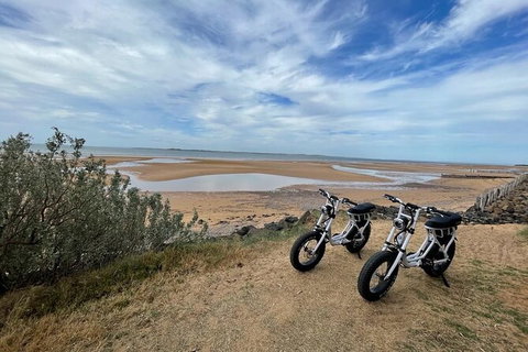 E-Bike Hire Super Cruzer In Phillip Island - Accommodation Great Ocean Road 3