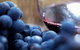 Mornington Peninsula 2-6 Guests Lunch Rare Hare Or Merricks General Wine Store - thumb 7