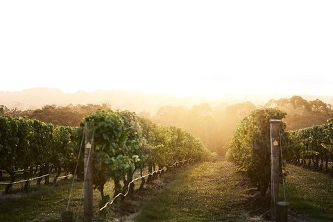 Mornington Peninsula 2-6 Guests Lunch Rare Hare Or Merricks General Wine Store - Accommodation Great Ocean Road 2