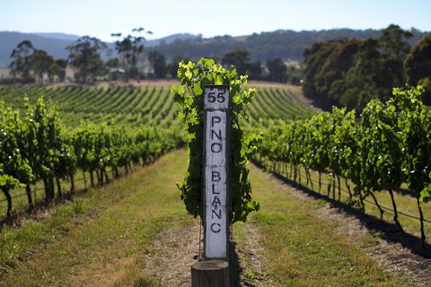 Mornington Peninsula 2-6 Guests Lunch Rare Hare Or Merricks General Wine Store - Accommodation Great Ocean Road 5