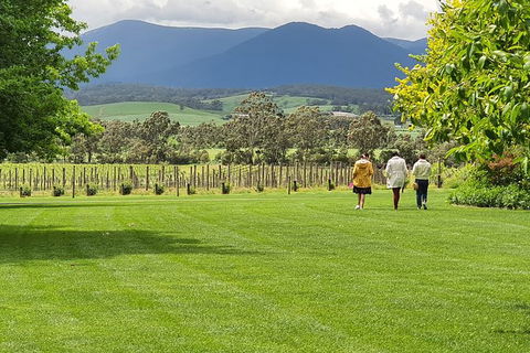 Yarra Valley Wine Tasting Day Tour From Melbourne - Accommodation Great Ocean Road 6