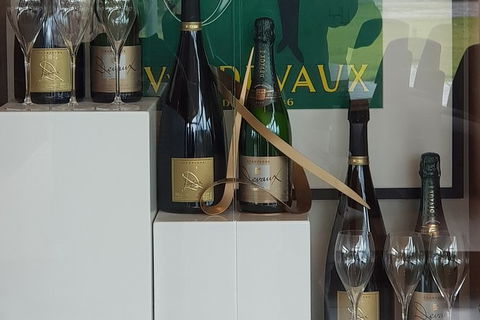 Yarra Valley Wine Tasting Day Tour From Melbourne - Accommodation Great Ocean Road 2