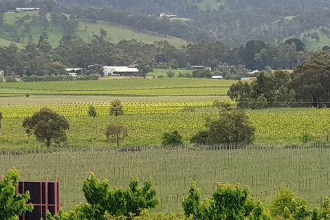 Yarra Valley Wineries And Rayners Orchard Tour From Melbourne - Accommodation Great Ocean Road 2