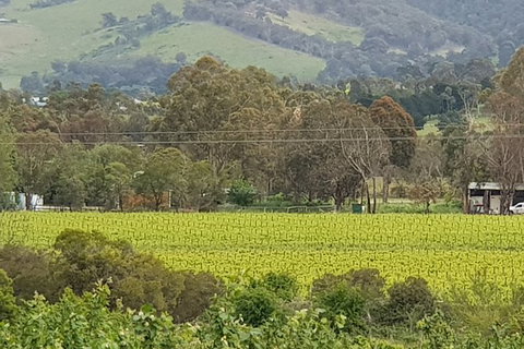 Day Tour Of Yarra Valley Puffing Billy And Rayners Orchard - Accommodation Great Ocean Road 44