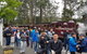 Day Tour Of Yarra Valley Puffing Billy And Rayners Orchard - thumb 3