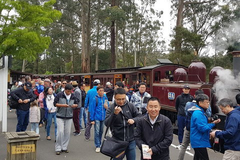Day Tour Of Yarra Valley Puffing Billy And Rayners Orchard - Accommodation Great Ocean Road 3