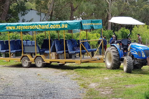 Day Tour Of Yarra Valley Puffing Billy And Rayners Orchard - Accommodation Great Ocean Road 48