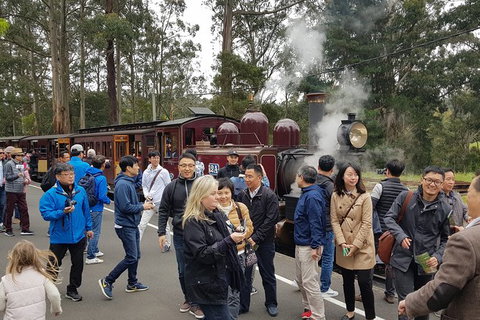Day Tour Of Yarra Valley Puffing Billy And Rayners Orchard - Accommodation Great Ocean Road 18