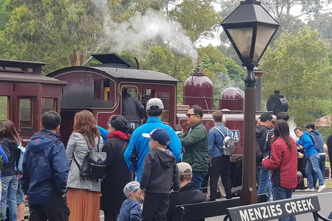 Day Tour Of Yarra Valley Puffing Billy And Rayners Orchard - Accommodation Great Ocean Road 40