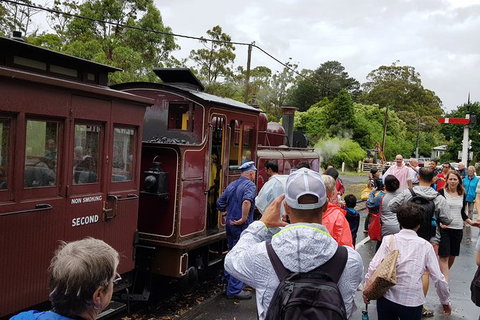 Day Tour Of Yarra Valley Puffing Billy And Rayners Orchard - Accommodation Great Ocean Road 23