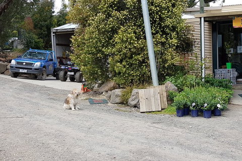Day Tour Of Yarra Valley Puffing Billy And Rayners Orchard - Accommodation Great Ocean Road 6