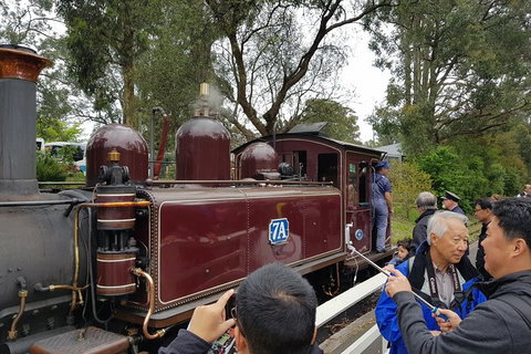 Day Tour Of Yarra Valley Puffing Billy And Rayners Orchard - Accommodation Great Ocean Road 28