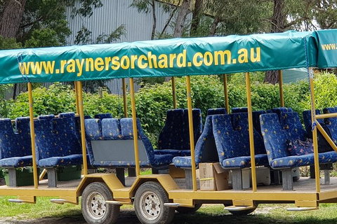 Day Tour Of Yarra Valley Puffing Billy And Rayners Orchard - Accommodation Great Ocean Road 33