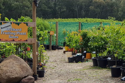 Day Tour Of Yarra Valley Puffing Billy And Rayners Orchard - Accommodation Great Ocean Road 22
