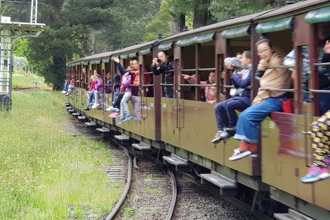Day Tour Of Yarra Valley Puffing Billy And Rayners Orchard - Accommodation Great Ocean Road 13