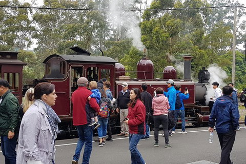 Day Tour Of Yarra Valley Puffing Billy And Rayners Orchard - Accommodation Great Ocean Road 4