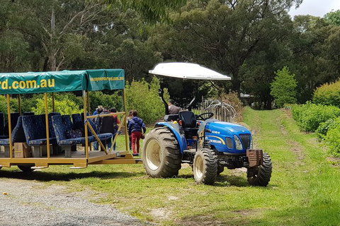 Day Tour Of Yarra Valley Puffing Billy And Rayners Orchard - Accommodation Great Ocean Road 25