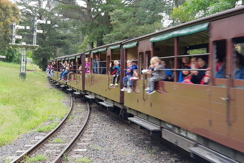 Day Tour Of Yarra Valley Puffing Billy And Rayners Orchard - Accommodation Great Ocean Road 24