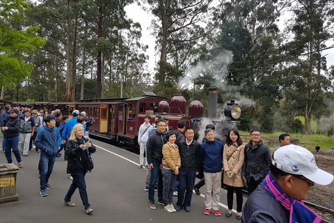 Day Tour Of Yarra Valley Puffing Billy And Rayners Orchard - Accommodation Great Ocean Road 9