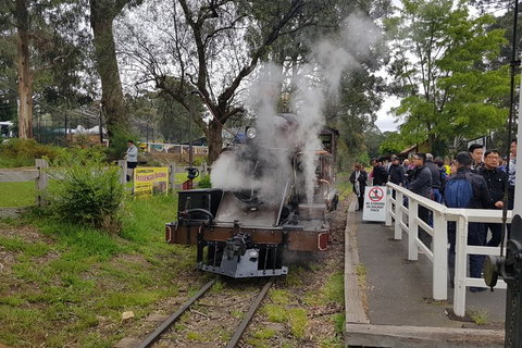 Day Tour Of Yarra Valley Puffing Billy And Rayners Orchard - Accommodation Great Ocean Road 43