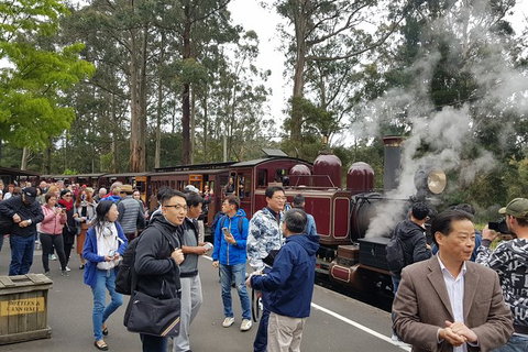 Day Tour Of Yarra Valley Puffing Billy And Rayners Orchard - Accommodation Great Ocean Road 12