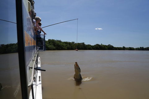 Darwin City Sights And Jumping Crocodile Cruise - Accommodation Great Ocean Road 2