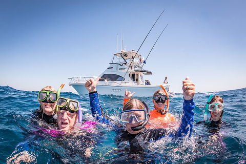 Life On Ningaloo Swimming Tour In Exmouth - Accommodation Great Ocean Road 4