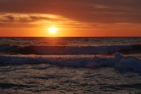 Australian Animals, Seascape And Sunset Photography Tour - Accommodation Great Ocean Road 0
