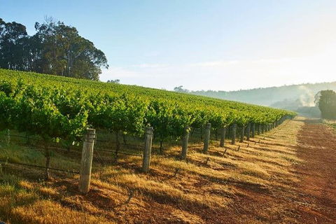 Botanical Gardens, Winery And Scenic Full Day Tour - Accommodation Great Ocean Road 2