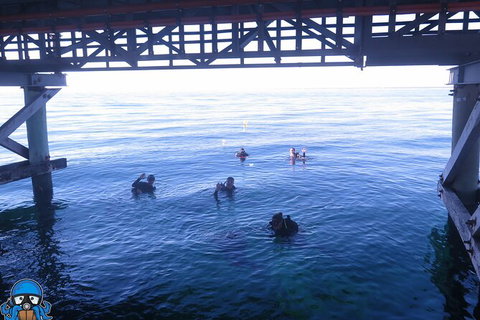 PADI Open Water Course - Accommodation Great Ocean Road 3