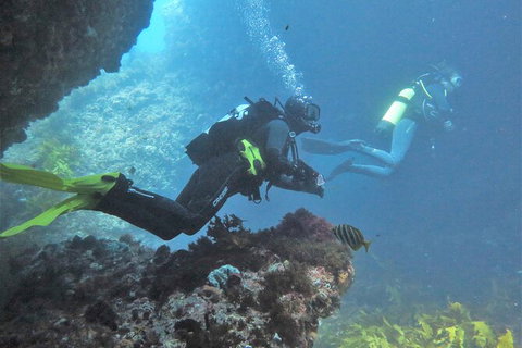 PADI Open Water Course - Accommodation Great Ocean Road 2