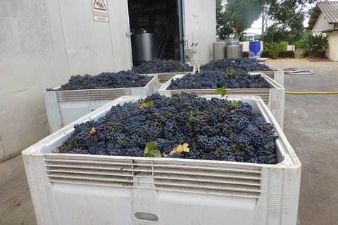 A Taste Of Margaret River Luxury Wine Tour - Accommodation Great Ocean Road 3
