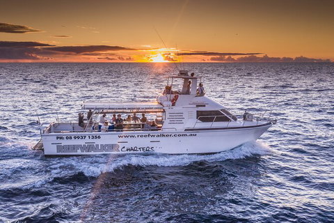 Kalbarri Sunset Coastal Cliff Cruise - Accommodation Great Ocean Road 1