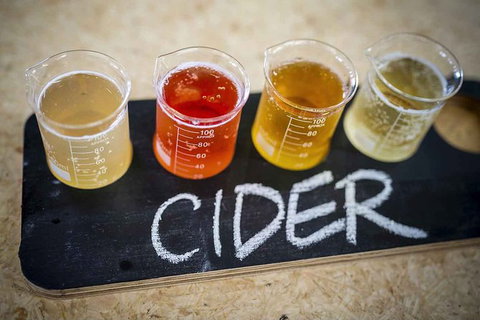 Bickley Valley Wine & Cider Tour - Premium Small Group Tour - Accommodation Great Ocean Road 1