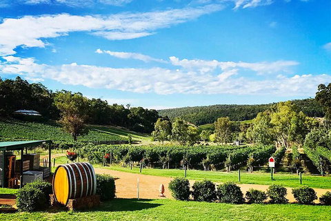 Bickley Valley Wine & Cider Tour - Premium Small Group Tour - Accommodation Great Ocean Road 0