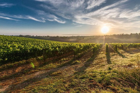Perth To Margaret River Wine Tour - 2 Day Premium Boutique Wine Tour Experience - Accommodation Great Ocean Road 0