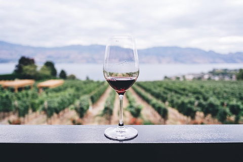 Full-Day Gourmet Wine Tour With Pick Up And Lunch - Accommodation Great Ocean Road 1