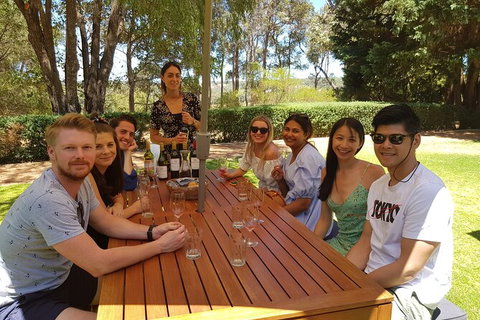 Full-Day Gourmet Wine Tour With Pick Up And Lunch - Accommodation Great Ocean Road 5