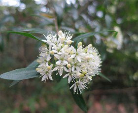Booderee National Park - Accommodation Great Ocean Road 0
