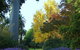 Albury Botanic Garden - thumb 0