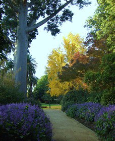 Albury Botanic Garden - Accommodation Great Ocean Road 0